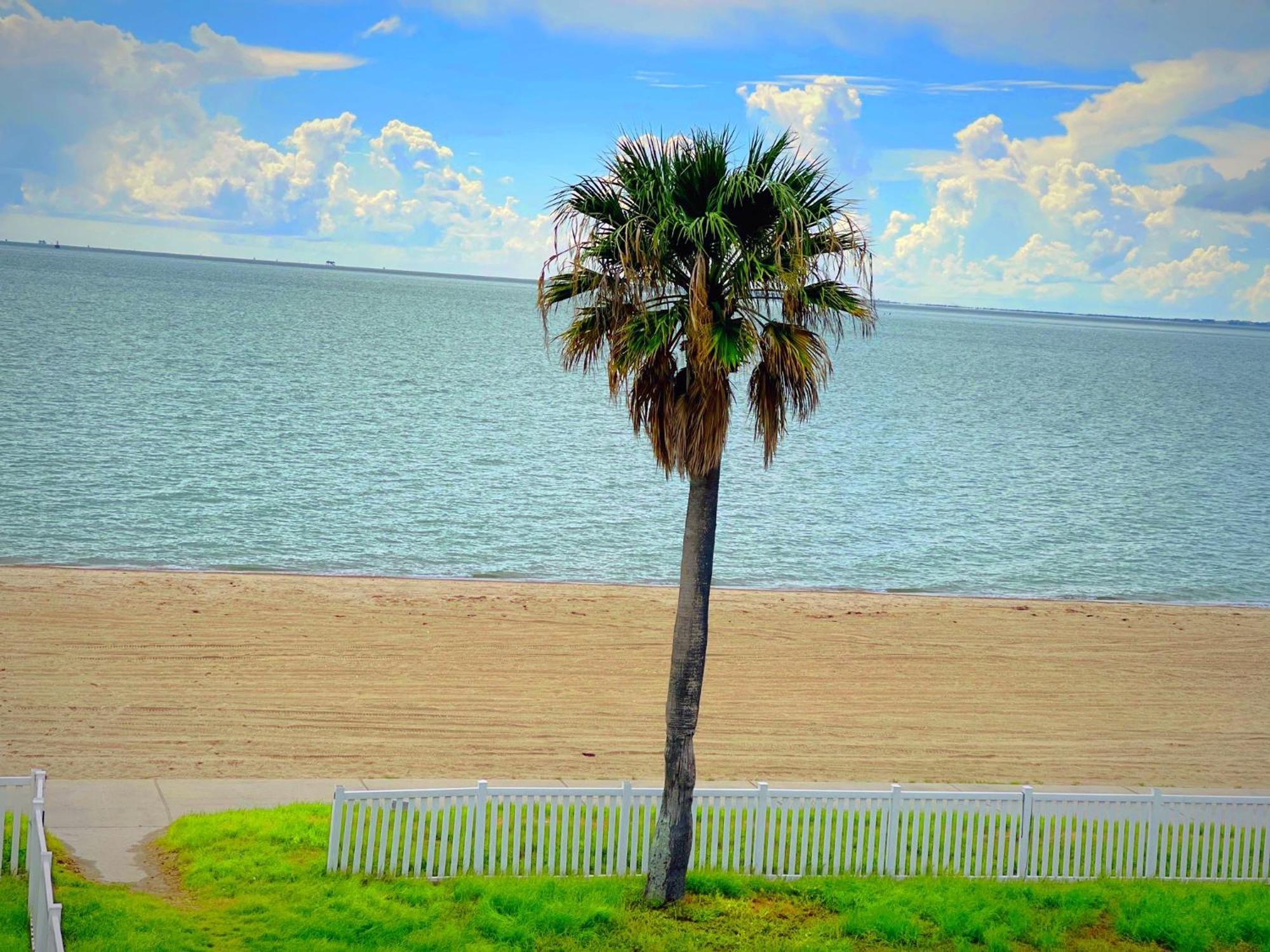 Sea Shell Inn On The Beach Corpus Christi Extérieur photo